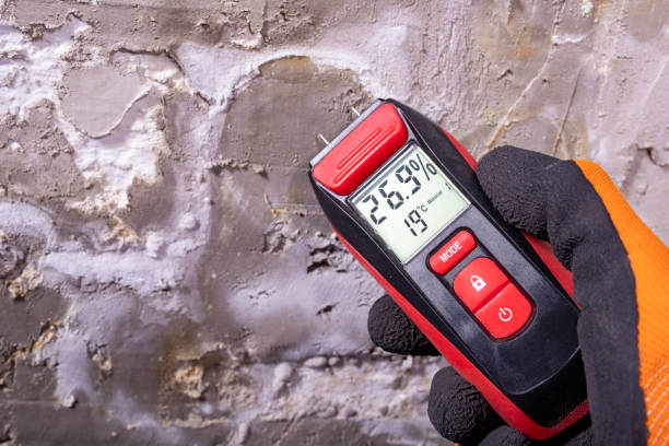 Crawl Space Mold Removal in South Shore, KY