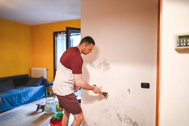 Best Home Mold Removal  in South Shore, KY